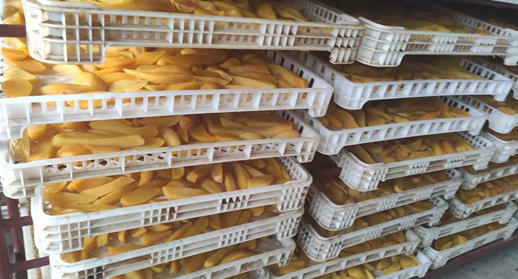 優質干燥 優質干燥